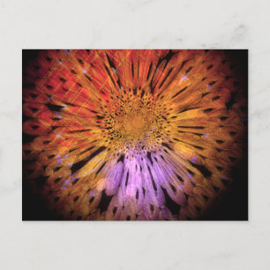 Cartão postal exclusivo