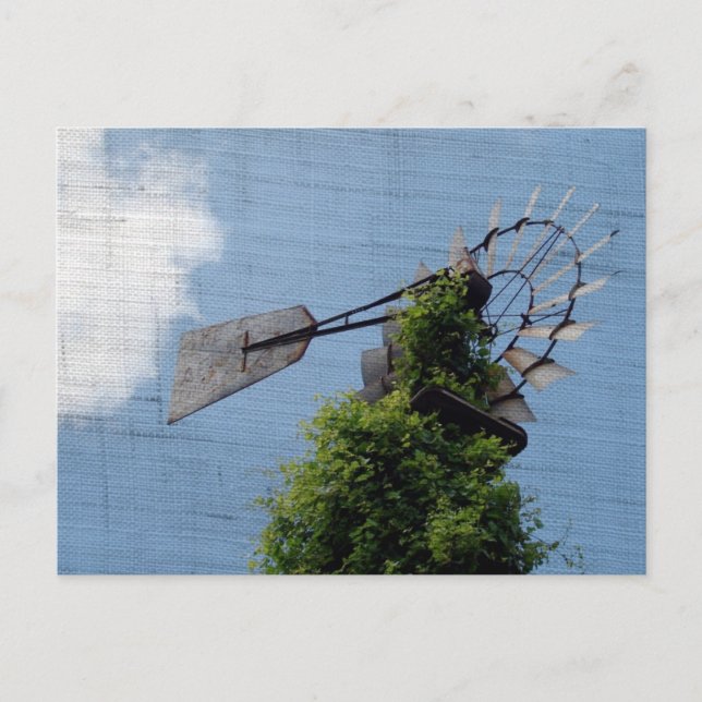 Cartão Postal Exclusivo para moinhos de vento (Frente)