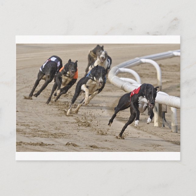 Cartão Postal Executar até a linha (Frente)