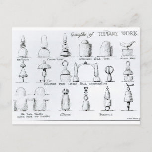 Cartão Postal Exemplos de trabalhos de Topiary, 1902 (gravura) (