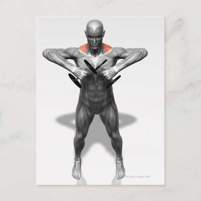 Cartão Postal Exercício de Linha Direta 2 (Frente)