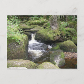 Cartão Postal exeter 2009 105