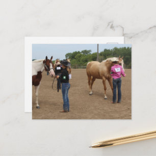 Cartão Postal Exibição de Cavalos Paint e Palomino