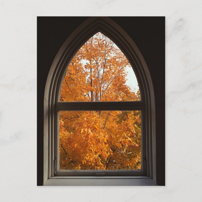 Cartão Postal Exibição de Folhas do outono (Frente)