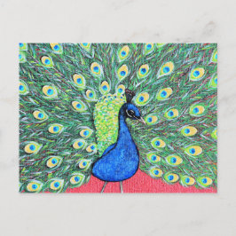 Cartão Postal Exibindo Pintura em Pavão-Acrílico