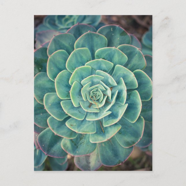 Cartão Postal Êxito de Fechamento (Frente)