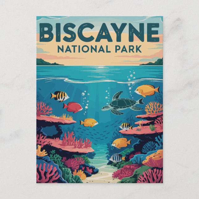Cartão Postal Explorando o Parque Nacional de Biscayne Águas da  (Frente)