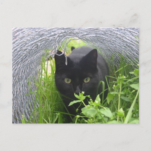 Cartão Postal Explorar (Frente)