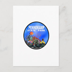 CARTÃO POSTAL EXPLORAR AS RESPOSTAS