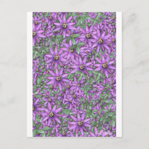 Cartão Postal Explosão da Flor de Paixão