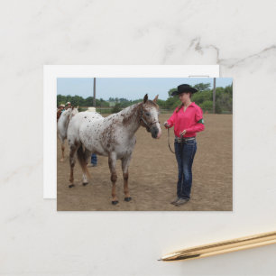 Cartão Postal Exposição de Cavalos Showmanship