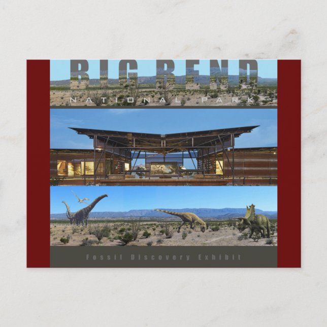 Cartão Postal Exposição Fóssil de NAT’L PARK-Texas-BIG BEND- (Frente)