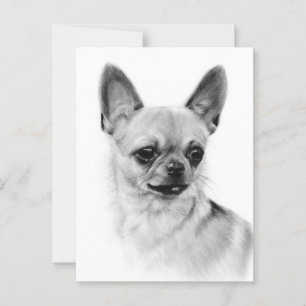 Cartão Postal Expressão Chihuahua - Trabalho de arte pintada