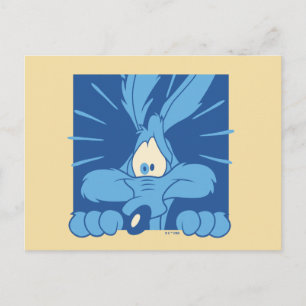 Cartão Postal Expressão de Choque do WILE E. COYOTE™