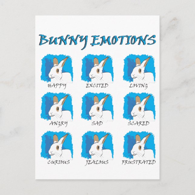 CARTÃO POSTAL EXPRESSÕES (Frente)