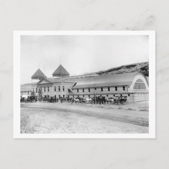 Cartão Postal Exterior da maior solha (Frente)