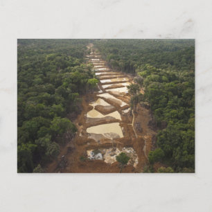 Cartão Postal Extração Dourada aluvial. Floresta Tropical, Guian