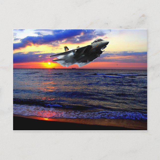 CARTÃO POSTAL F-14 TOMCAT (Frente)