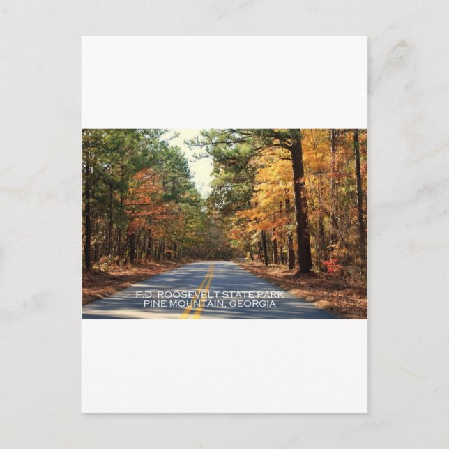 CARTÃO POSTAL F.D. ROOSEVELT STATE PARK - PINE MOUNTAIN, GEÓRGIA (Frente)