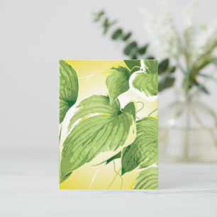 Cartão Postal Fábrica Ficus 4