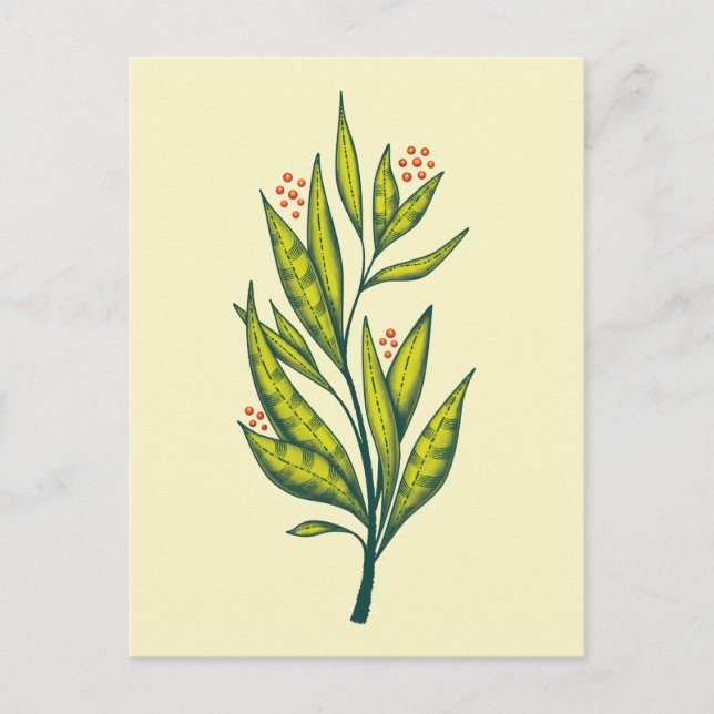 Cartão Postal Fábrica Verde Arte Botânica Amante (Frente)