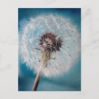 Cartão Postal Faça um desejo