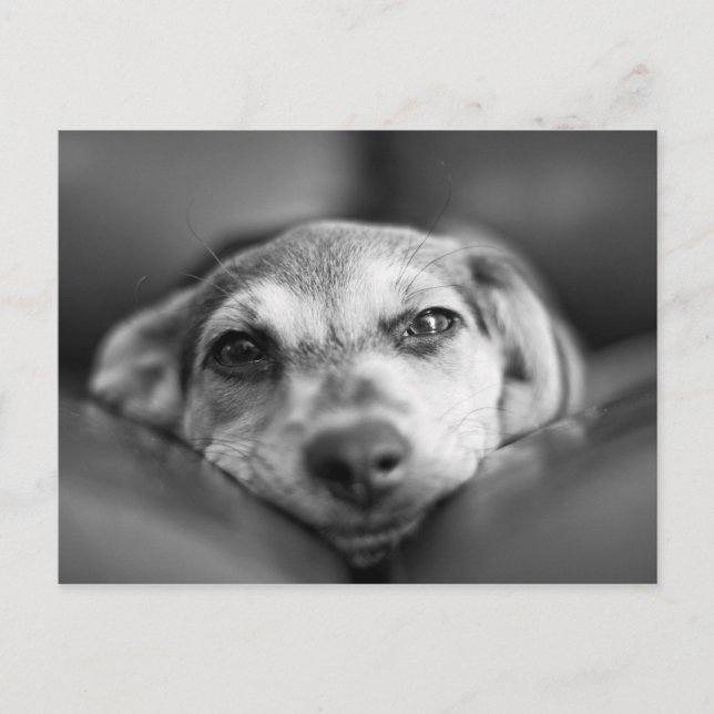 Cartão Postal Face a Face (Frente)