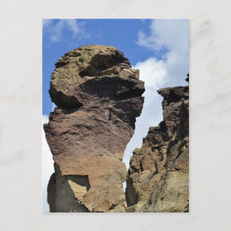 Cartão Postal Face de macaco