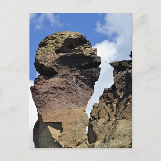 Cartão Postal Face de macaco (Frente)