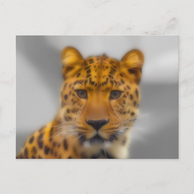 Cartão Postal Face Leopardo (Frente)