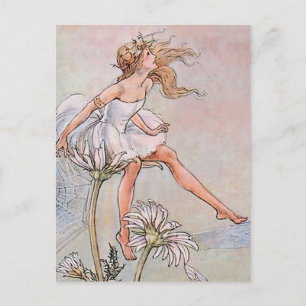 Cartão Postal Fada em uma Flor por Florence Anderson
