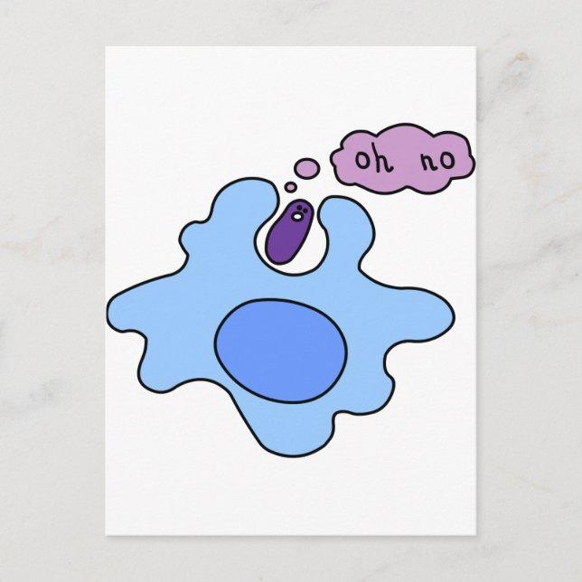 Cartão Postal Fagocitose Bacteriana (Frente)