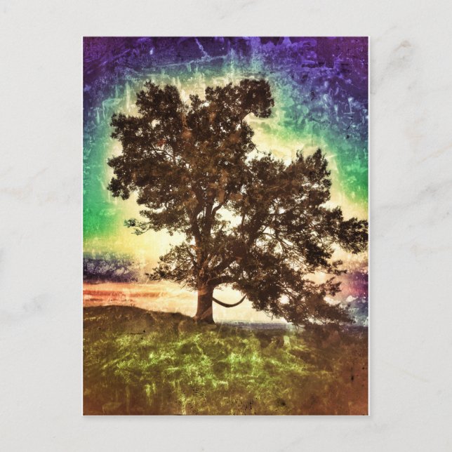 Cartão Postal faia mama (Frente)