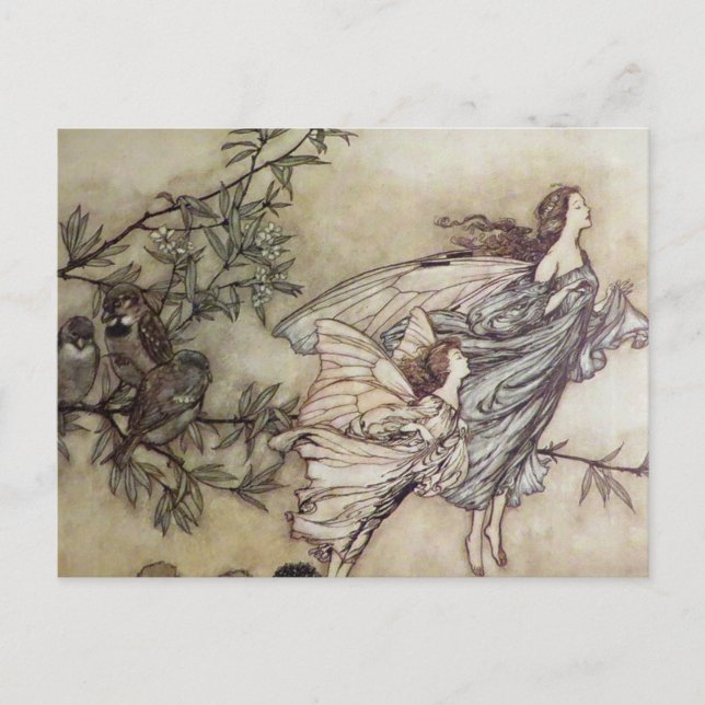 Cartão Postal "Fairies Tiff with Birds", por Arthur Rackham (Frente)