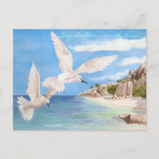 Cartão Postal Fairy Terns