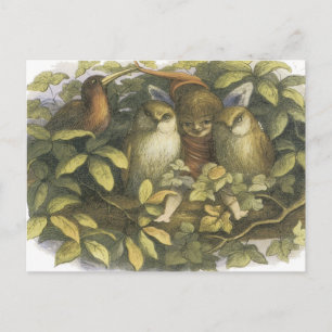 Cartão Postal Fairyland, 1870 Fadas Com Corujas
