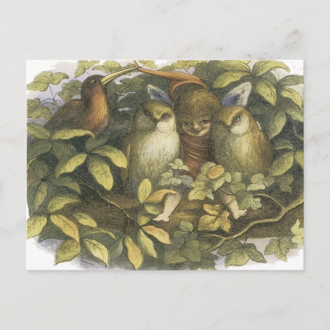 Cartão Postal Fairyland, 1870 Fadas Com Corujas (Frente)