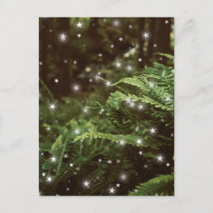 Cartão Postal Fairytale ferns nas estrelas da floresta cottageco