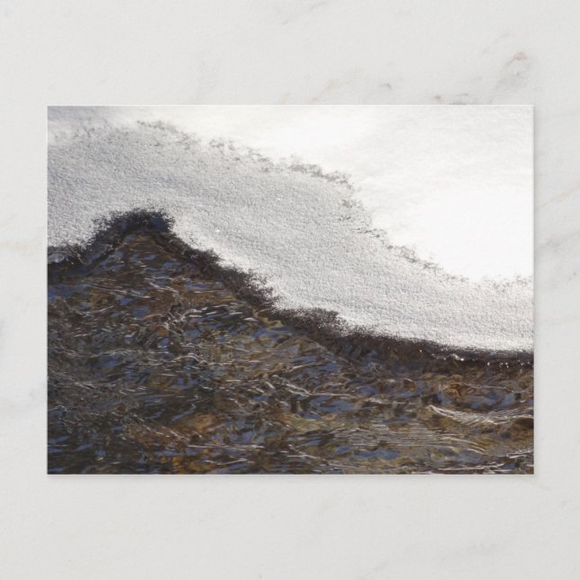 Cartão Postal Faixas de neve do inverno (Frente)