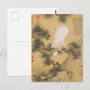 Cartão Postal Falcão Branco Vintage em Arte Chinesa de Pinheiro