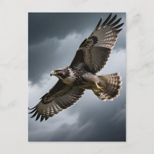 Cartão Postal Falcão Majestoso Voando em Nuvens de Tempestade