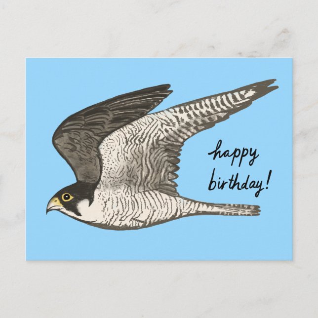 Cartão Postal Falcão-peregrino Lápis de Cor FELIZ ANIVERSÁRIO (Frente)