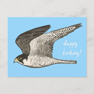 Cartão Postal Falcão-peregrino Lápis de Cor FELIZ ANIVERSÁRIO
