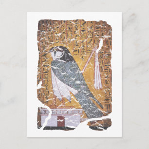 Cartão Postal Falcão preto