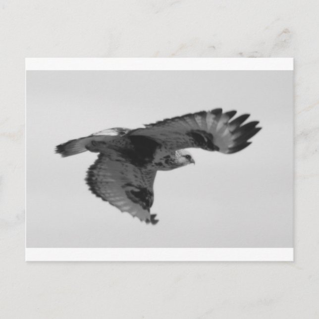 Cartão Postal FalconInFlight (Frente)