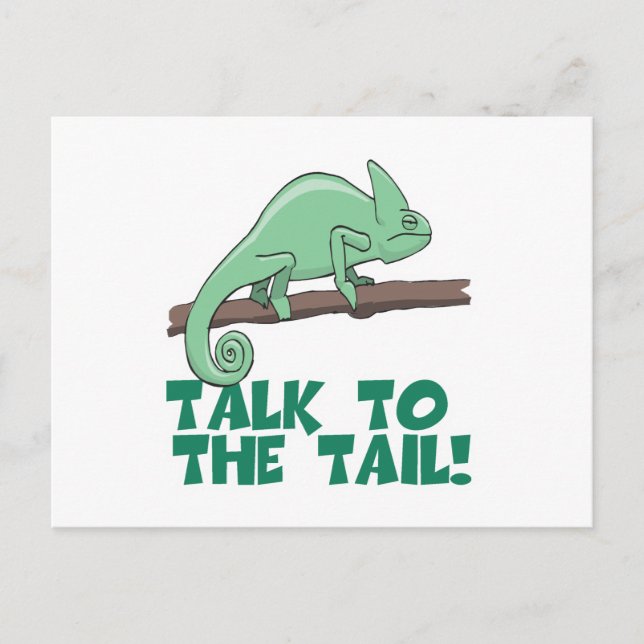 Cartão Postal Fale com a vela Iguana (Frente)