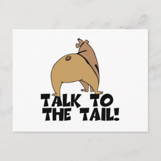 Cartão Postal Fale com o Urso de Cauda