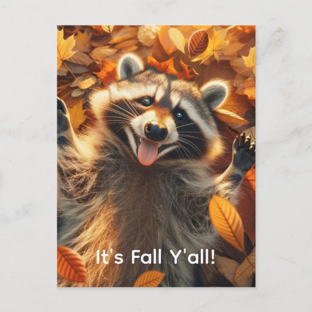 Cartão Postal Fall Bobo Raccoon personalizável (Frente)