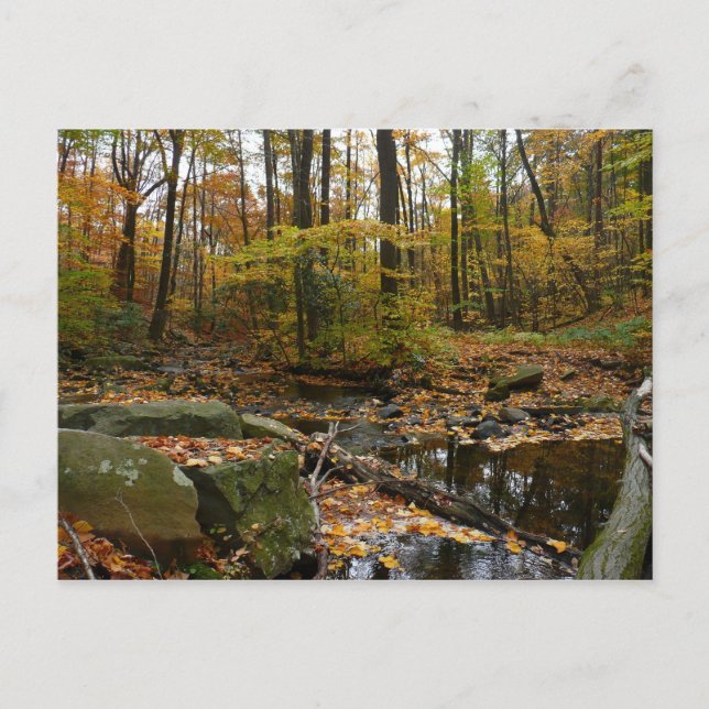 Cartão Postal Fall Creek com Reflexo no Laurel Hill Park (Frente)