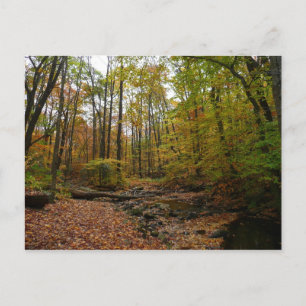 Cartão Postal Fall Creek em Laurel Hill State Park na Pensilvâni